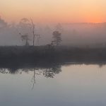 1be76c0a29bf5085a867d6d8965ef0ec.jpg