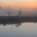 1be76c0a29bf5085a867d6d8965ef0ec.jpg