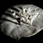 2541ab68e145f211efef73b4d8fdfcd9.JPG