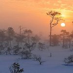 51a753574a8efa50fff934162ebfc756.jpg