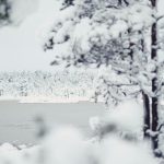 aa6c469d6fd880d64cf743cce4305fa9.jpg
