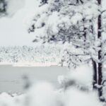 aa6c469d6fd880d64cf743cce4305fa9.jpg